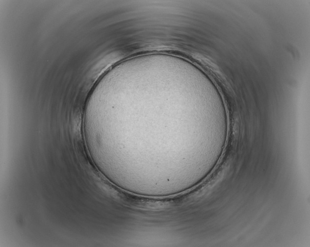 X0000114431273200911061636