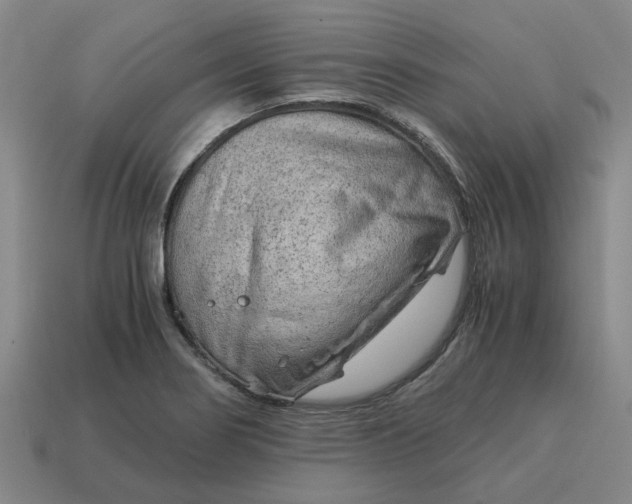 X0000114431274200911061636