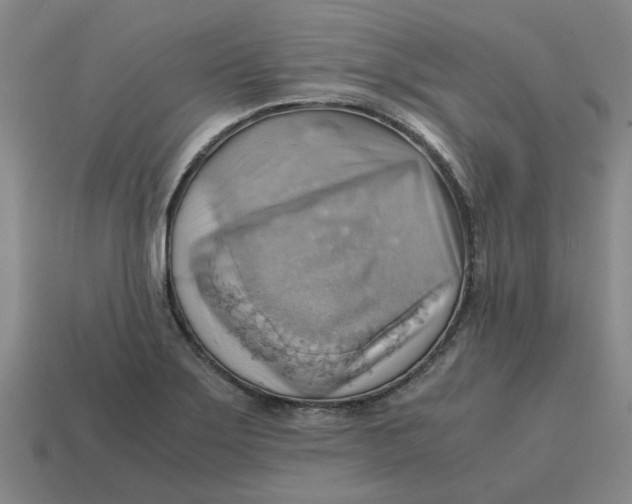 X0000114431275200911061636