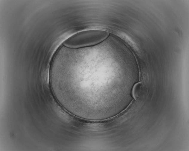 X0000114431276200911061636