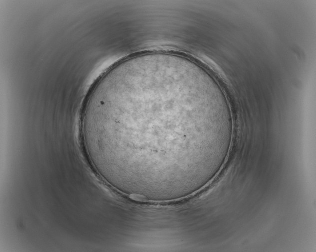 X0000114431277200911061636