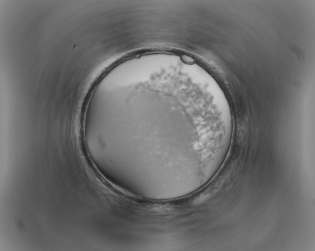 X0000114431279200911061636