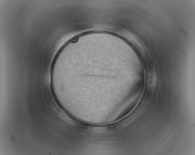 X0000114431280200911061636
