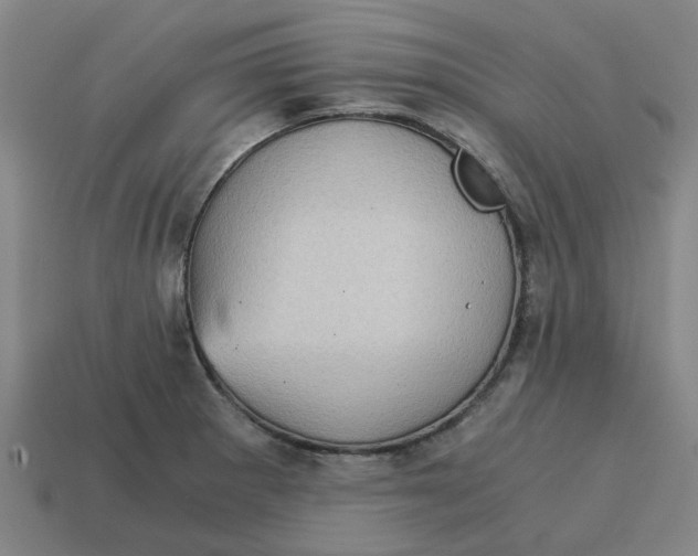 X0000114431281200911061636