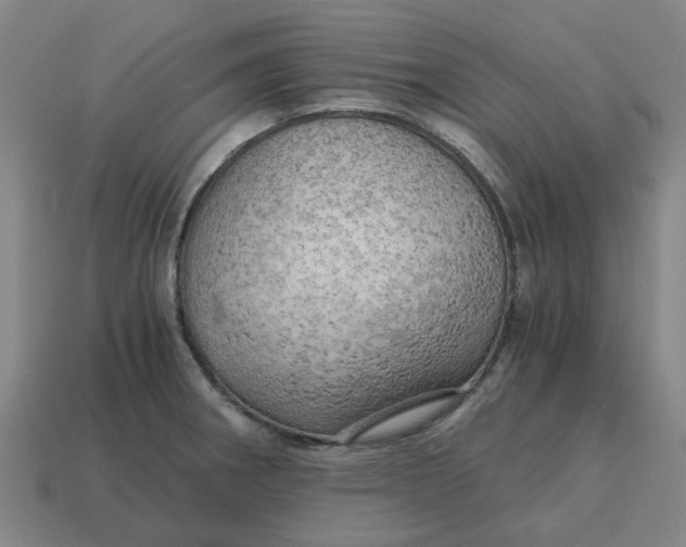 X0000114431282200911061636