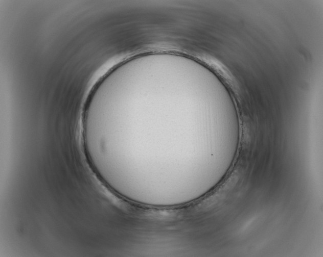 X0000114431286200911061635