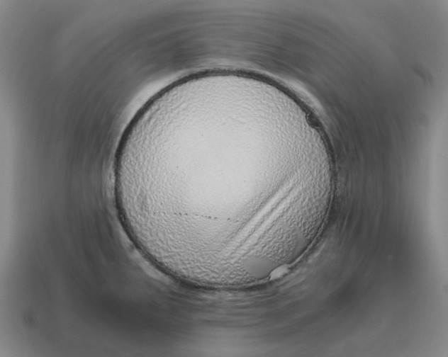 X0000114431287200911061635
