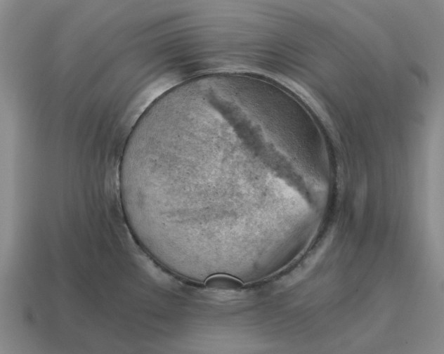 X0000114431289200911061635