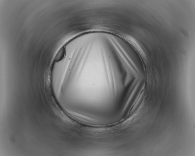 X0000114431292200911061635