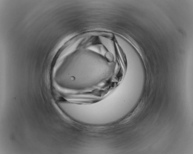 X0000114431293200911061635
