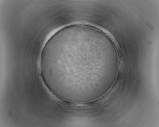 X0000114431295200911061635