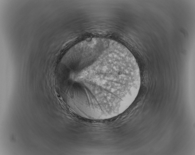X0000114431297200911061635
