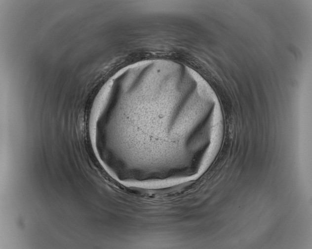 X0000114431298200911061635