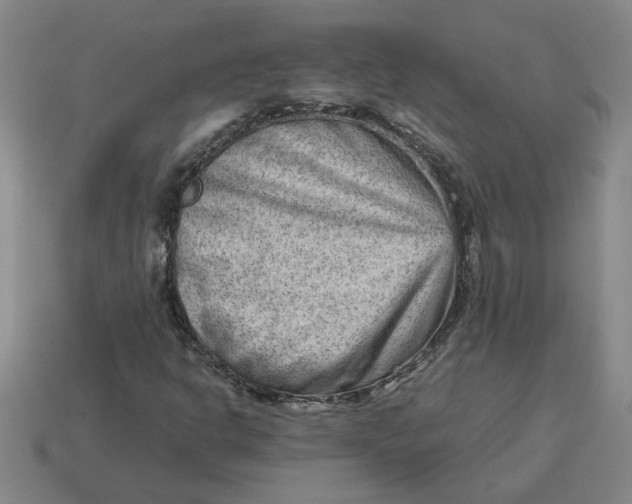 X0000114431302200911061635