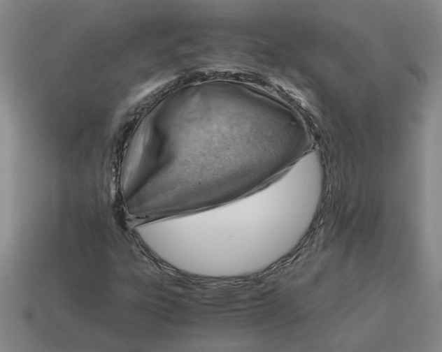 X0000114431303200911061635