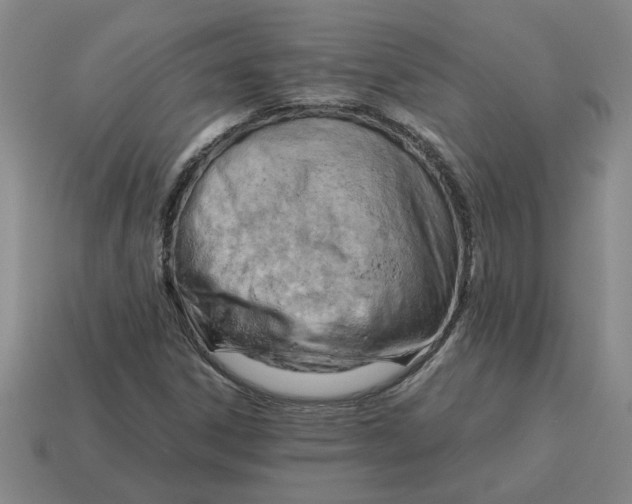 X0000114431306200911061635