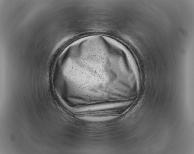 X0000114431307200911061635