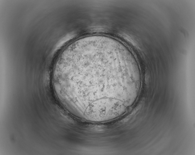 X0000114431309200911061635