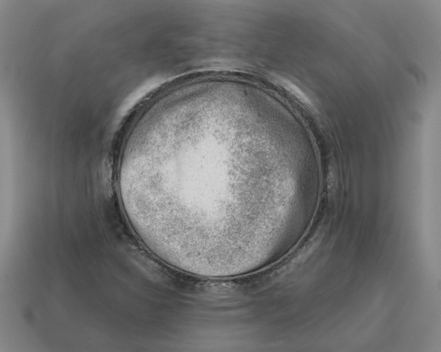 X0000114431310200911061635
