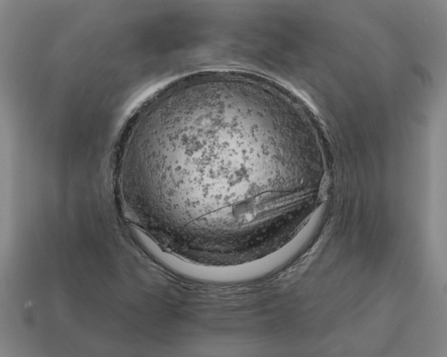 X0000114431311200911061635