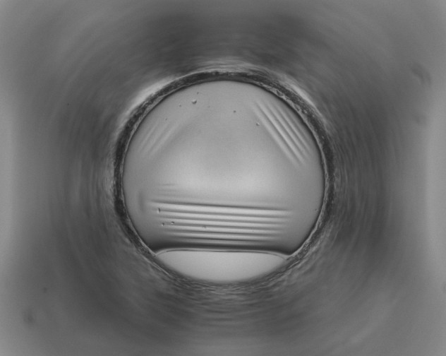 X0000114431315200911061635