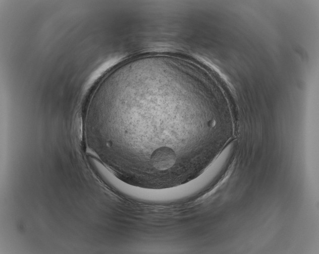 X0000114431317200911061635