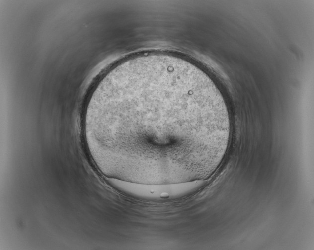 X0000114431318200911061635