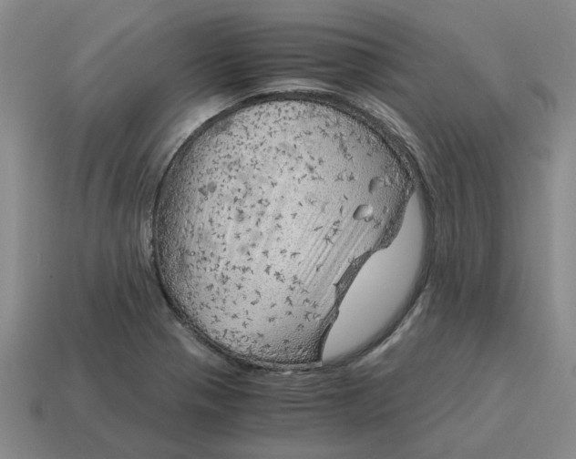 X0000114431321200911061635
