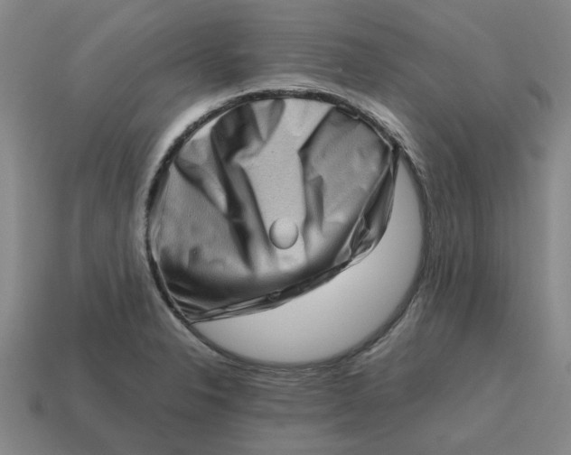 X0000114431326200911061635