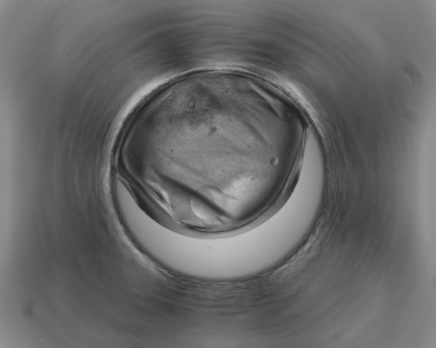 X0000114431331200911061635