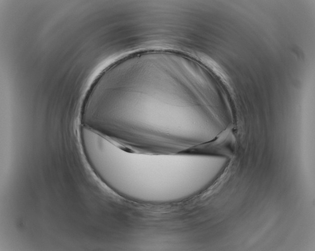 X0000114431334200911061635