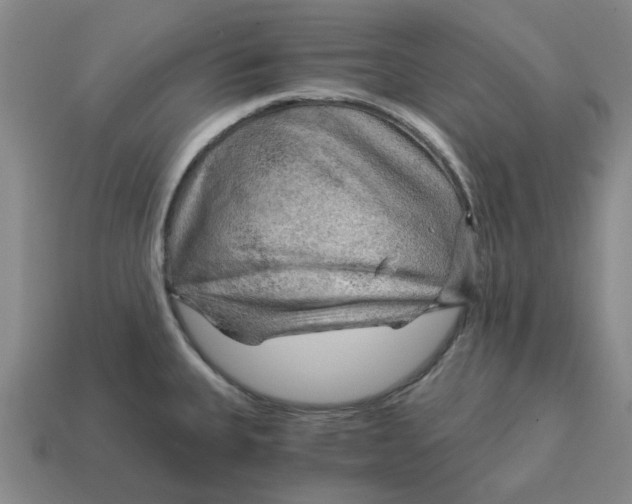 X0000114431335200911061635