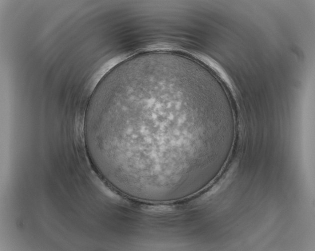X0000114431337200911061635