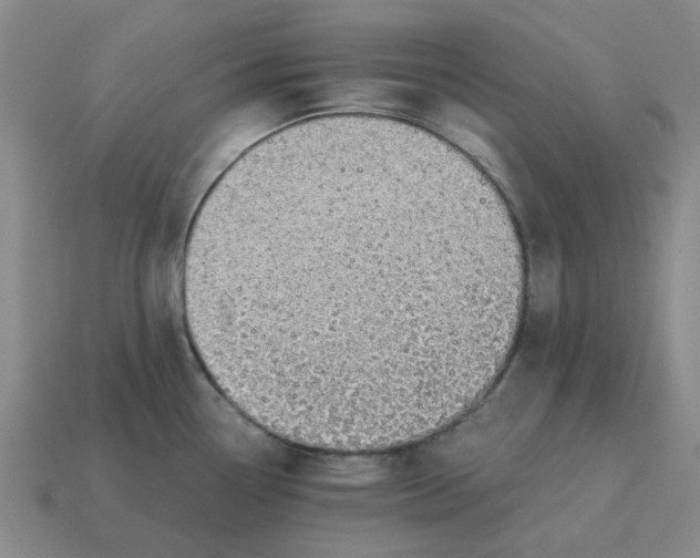 X0000114431338200911061635