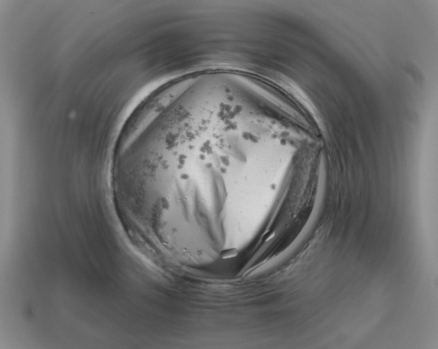 X0000114431339200911061635