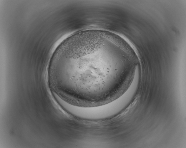 X0000114431341200911061635