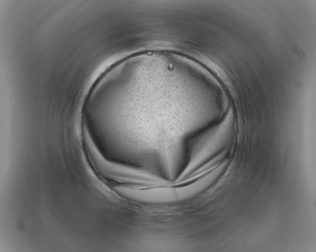 X0000114431342200911061635