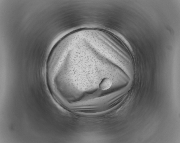 X0000114431343200911061635