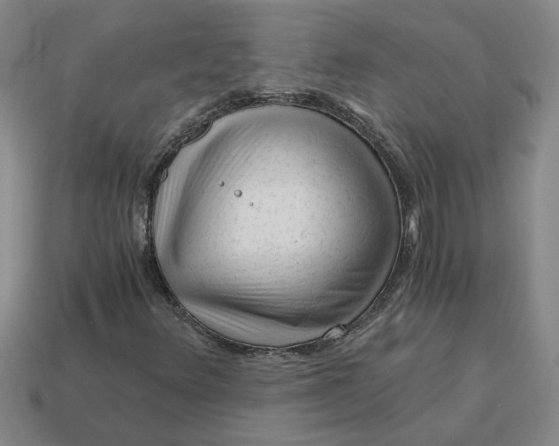 X0000114431348200911061635