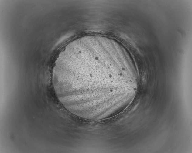 X0000114431350200911061635