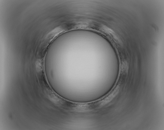 X0000114431353200911061635