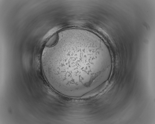 X0000114431354200911061635