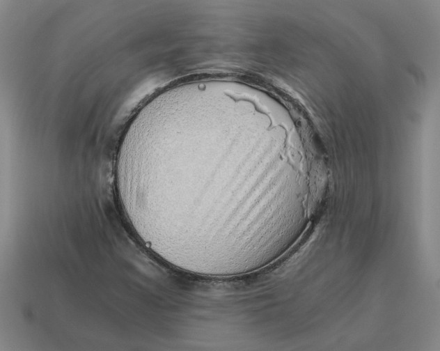 X0000114431355200911061635
