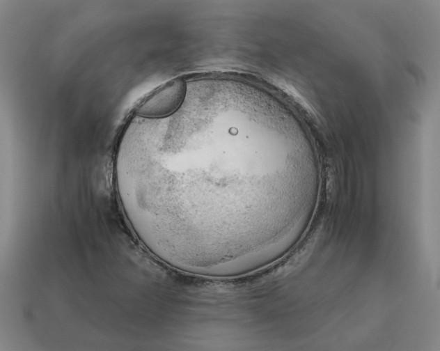 X0000114431358200911061635