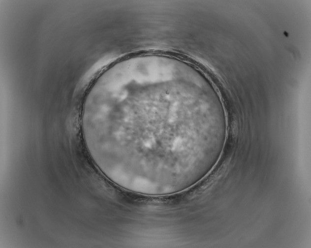 X0000114431359200911061635