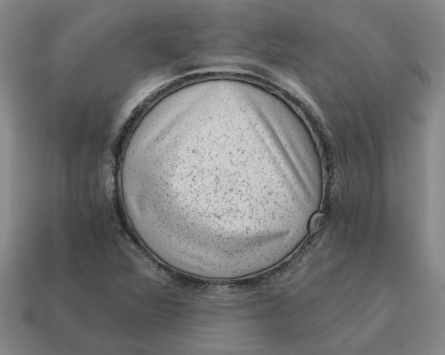 X0000114431360200911061635