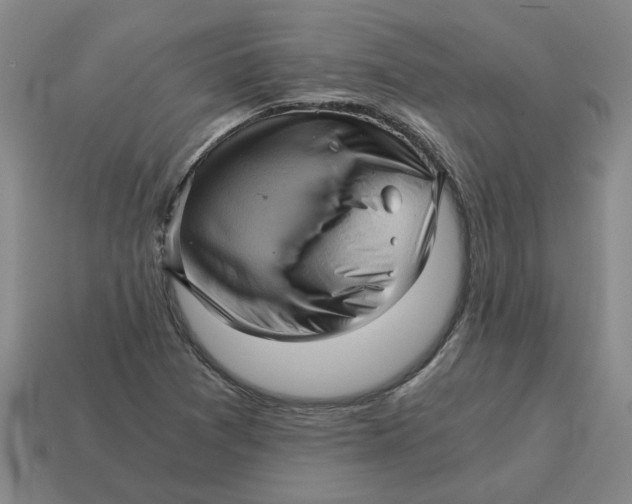 X0000114431361200911061634
