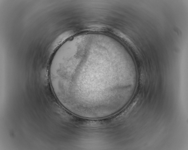 X0000114431362200911061634