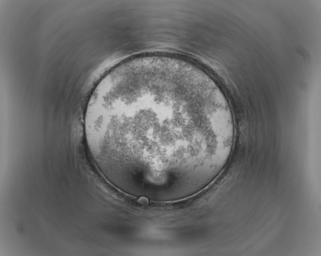 X0000114431363200911061634