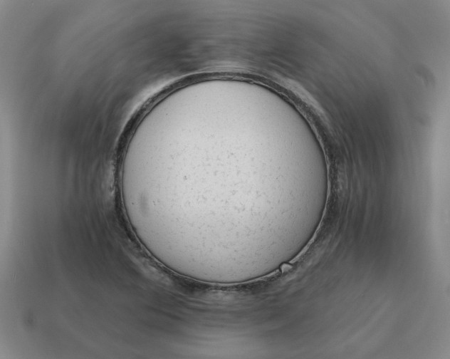 X0000114431364200911061634